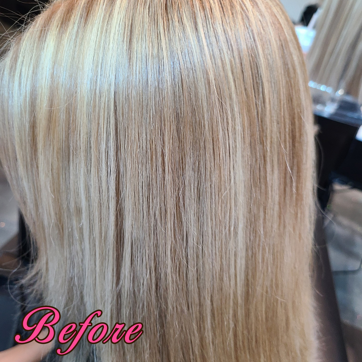 Gallery 103 - Before - Hair Extensions by Gricelda