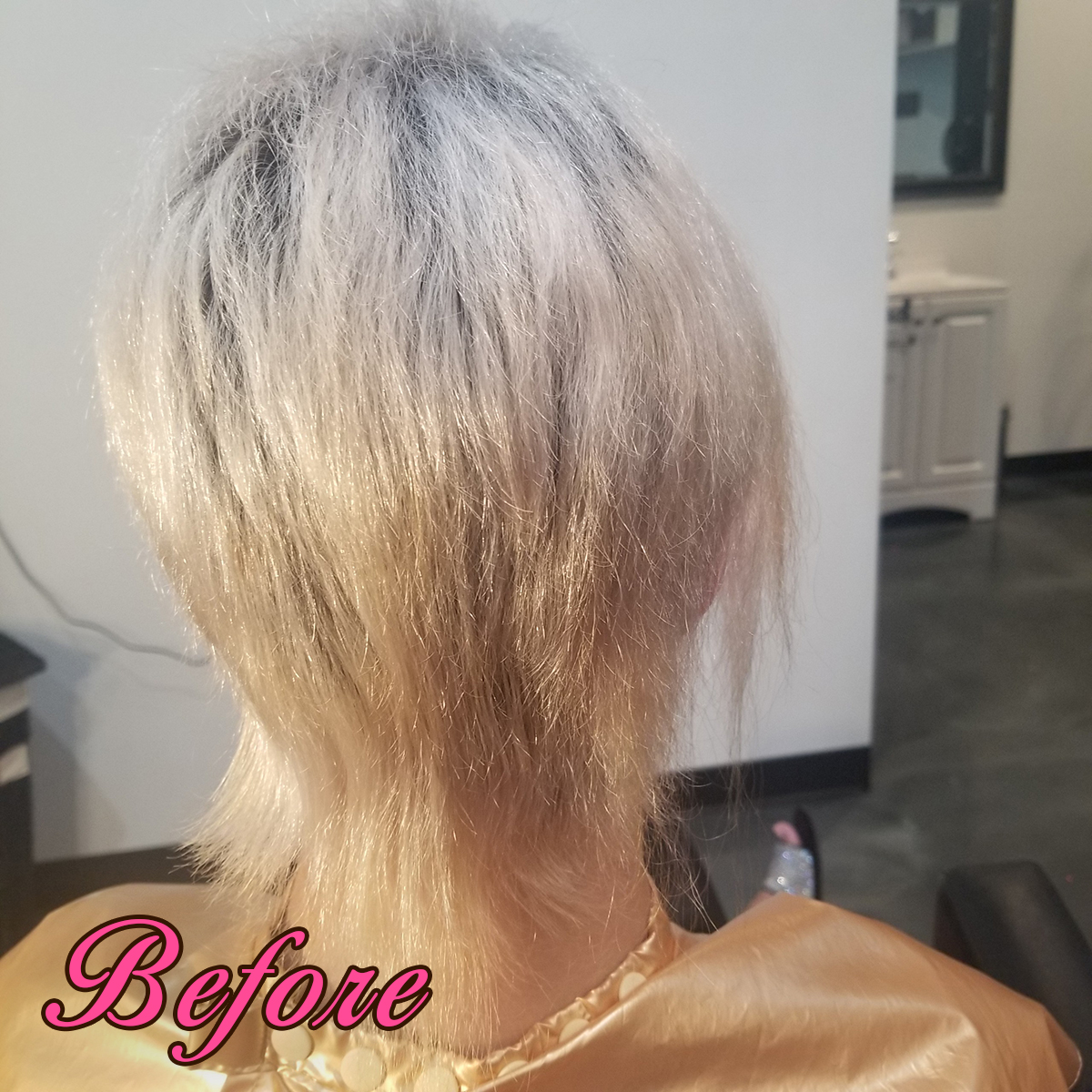 Gallery 105 - Before - Hair Extensions by Gricelda